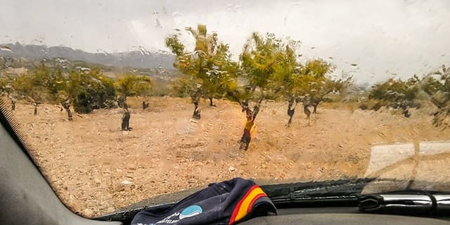 Terreno Não Urbanizado para venda em Jumilla - 25 000 € (Ref: 3539519)