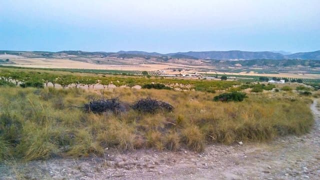 Terreno Não Urbanizado para venda em Jumilla - 25 000 € (Ref: 3539519)