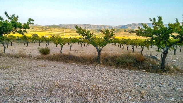 Terreno Não Urbanizado para venda em Jumilla - 25 000 € (Ref: 3539519)