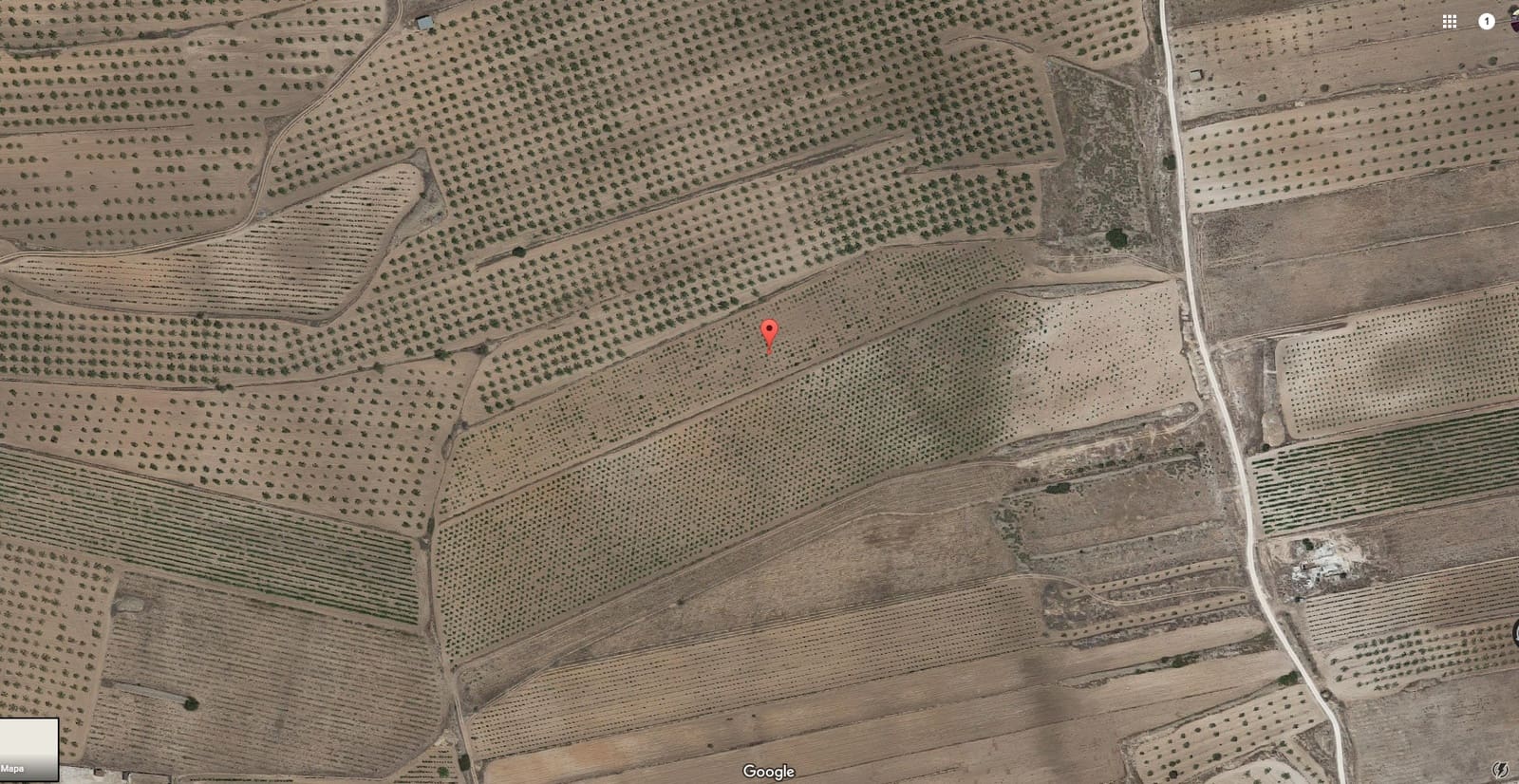 Mark till salu i Pinoso - 30 000 € (Ref: 3544060)