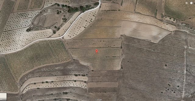 Terreno/Finca Rústica en Pinoso en venta - 25.000 € (Ref: 3544064)
