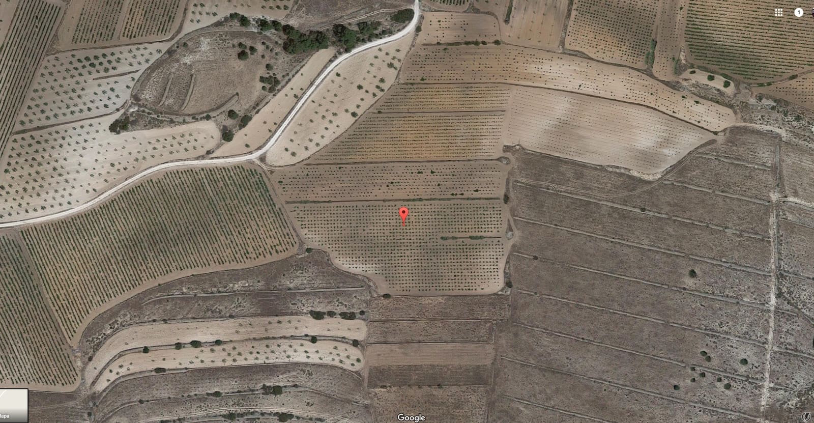 Undeveloped Land for sale in Pinoso - € 25,000 (Ref: 3544064)