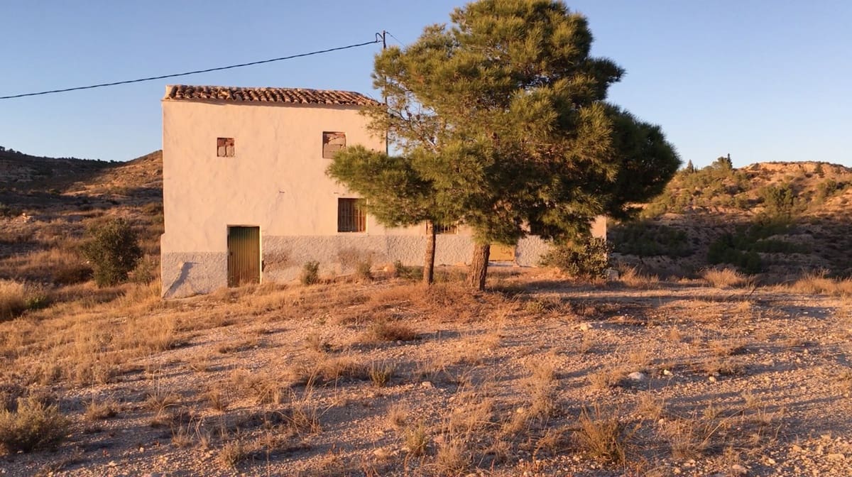 Terreno Não Urbanizado para venda em Fortuna - 63 500 € (Ref: 3545519)