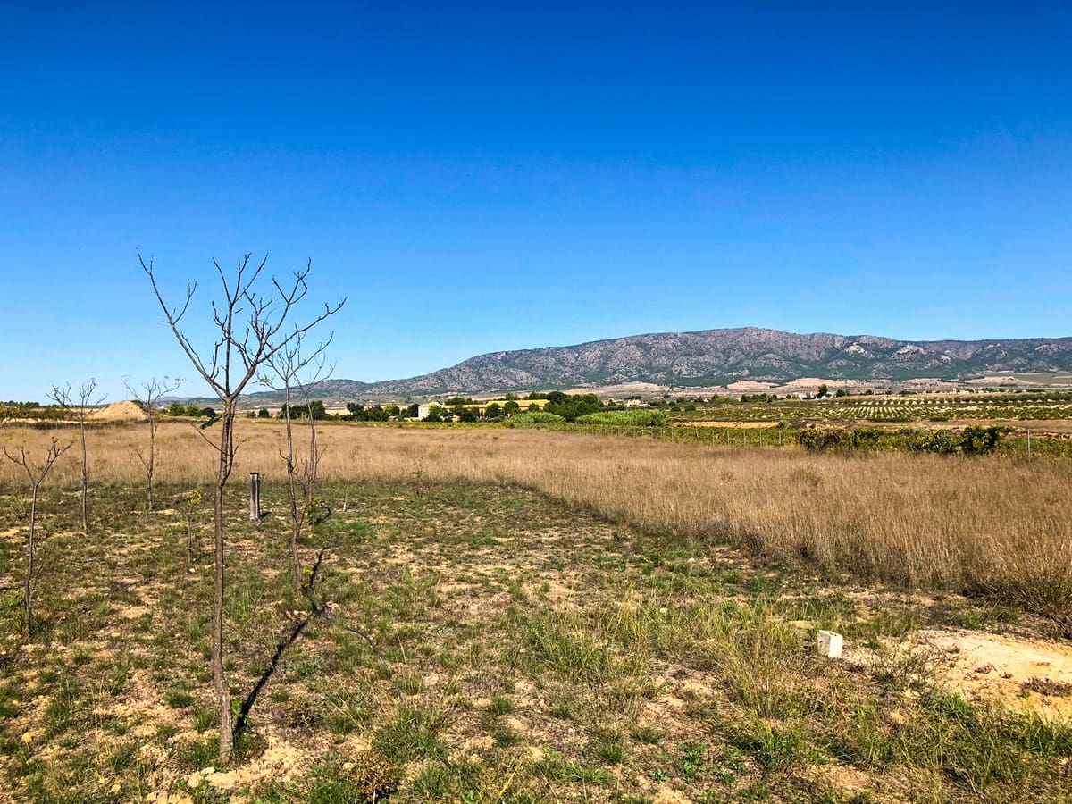 3 soveværelse Finca/Landehus til salg i Ubeda med swimmingpool - € 108.000 (Ref: 3605480)