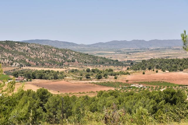 10 soveværelse Finca/Landehus til salg i Encebras, Pinoso med swimmingpool - € 2.250.000 (Ref: 3611704)