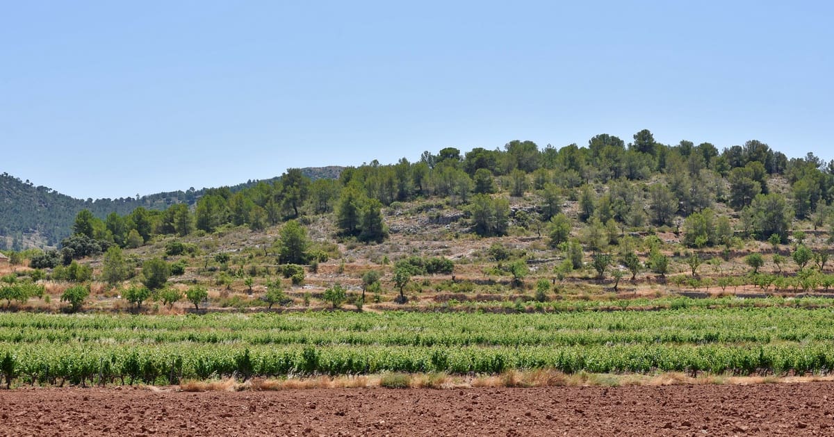 10 chambre Finca/Maison de Campagne à vendre à Encebras avec piscine - 2 250 000 € (Ref: 3611704)