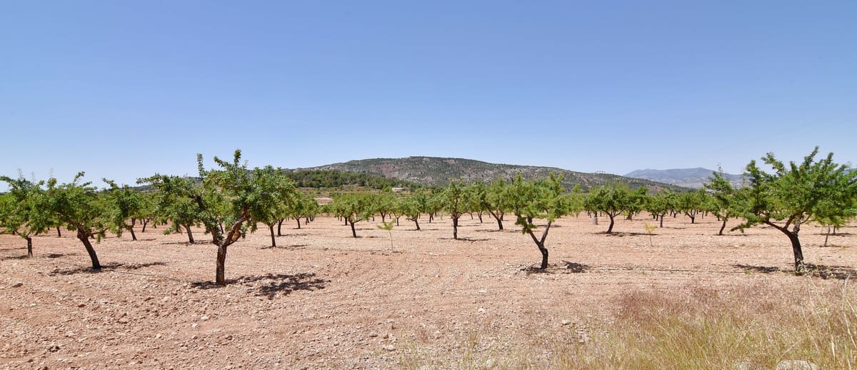 10 chambre Finca/Maison de Campagne à vendre à Encebras avec piscine - 2 250 000 € (Ref: 3611704)