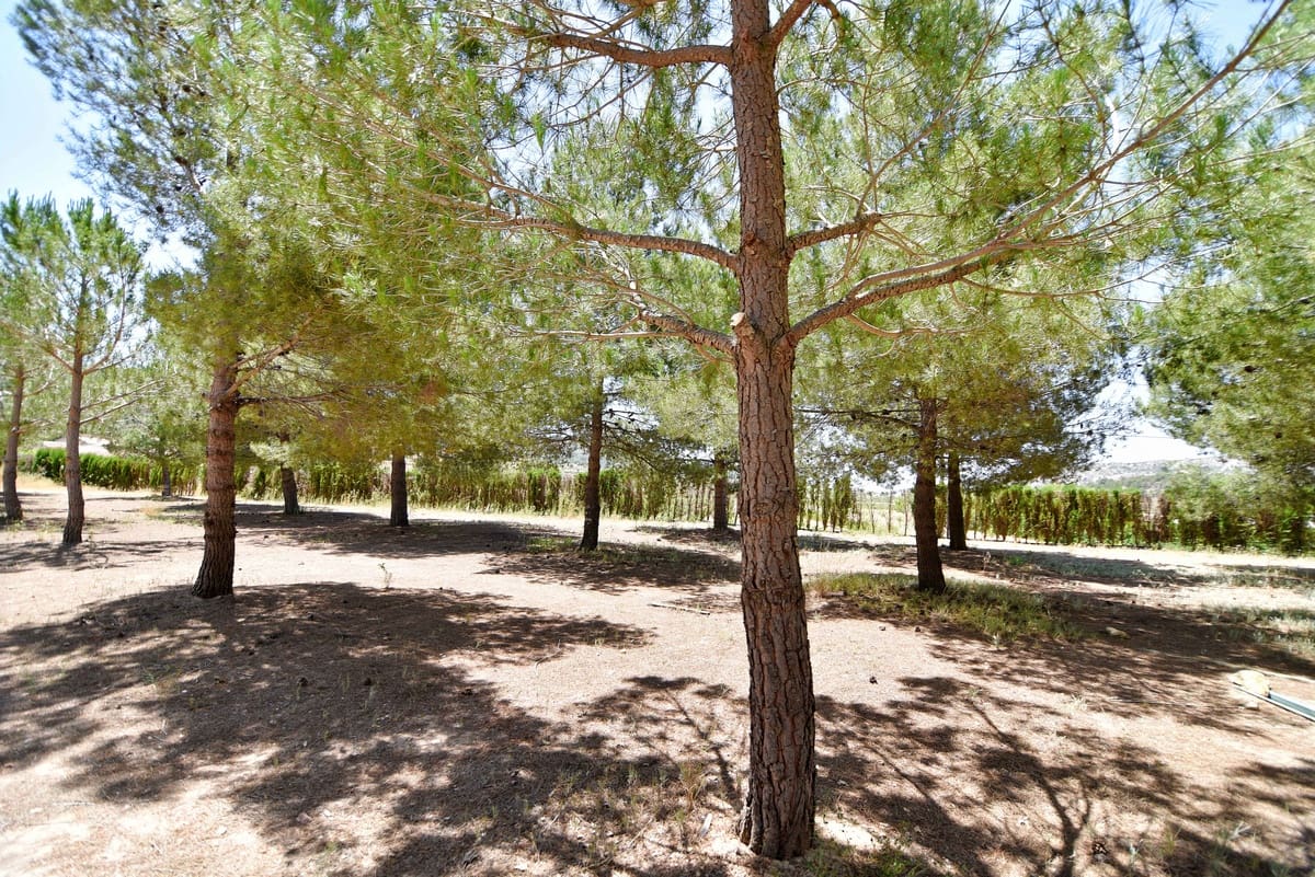 10 chambre Finca/Maison de Campagne à vendre à Encebras avec piscine - 2 250 000 € (Ref: 3611704)