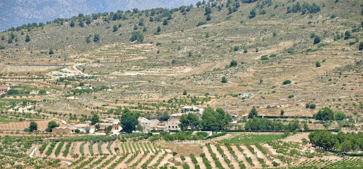 10 chambre Finca/Maison de Campagne à vendre à Encebras avec piscine - 2 250 000 € (Ref: 3611704)