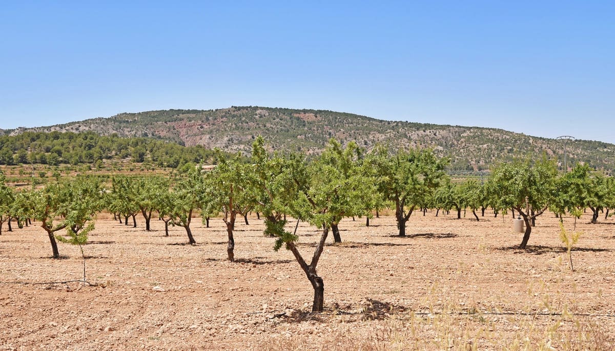 10 chambre Finca/Maison de Campagne à vendre à Encebras avec piscine - 2 250 000 € (Ref: 3611704)
