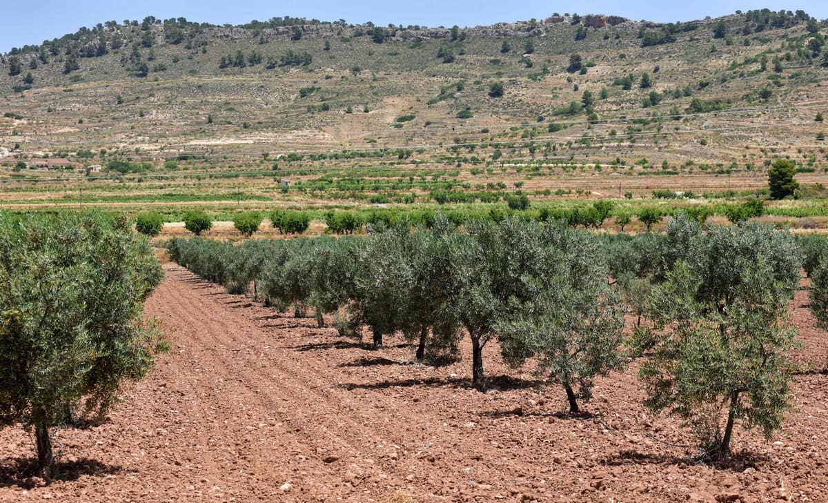 10 chambre Finca/Maison de Campagne à vendre à Encebras avec piscine - 2 250 000 € (Ref: 3611704)