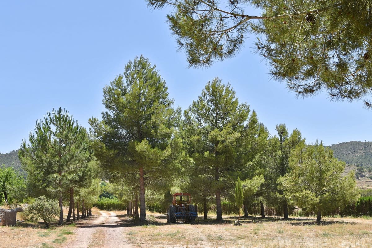 10 chambre Finca/Maison de Campagne à vendre à Encebras avec piscine - 2 250 000 € (Ref: 3611704)