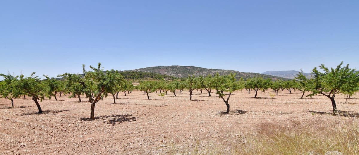 10 bedroom Finca/Country House for sale in Encebras with pool - € 2,250,000 (Ref: 3611704)