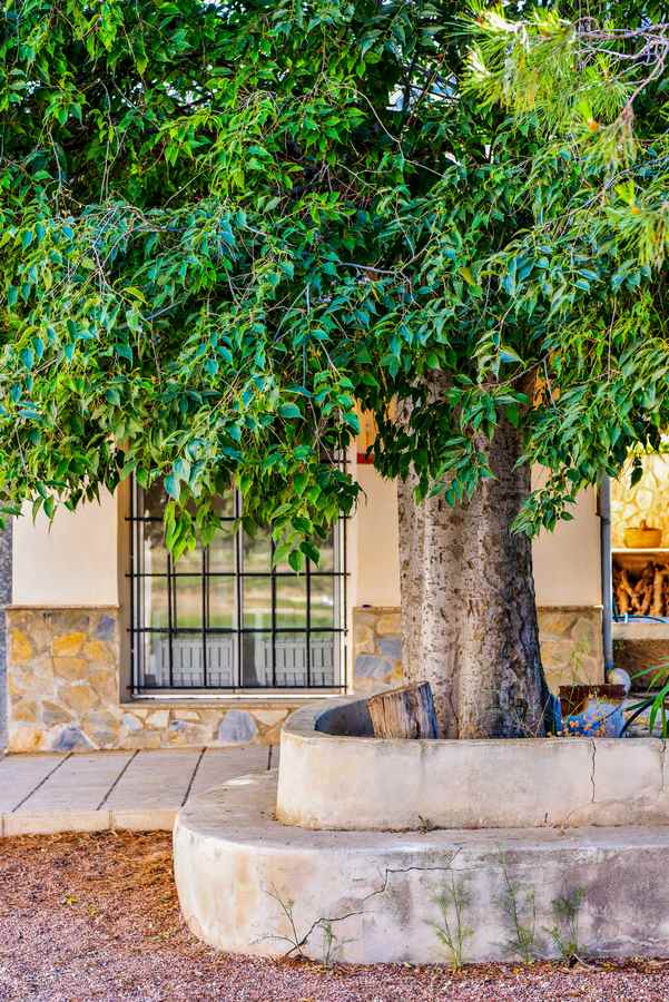 10 chambre Finca/Maison de Campagne à vendre à Encebras avec piscine - 2 250 000 € (Ref: 3611704)