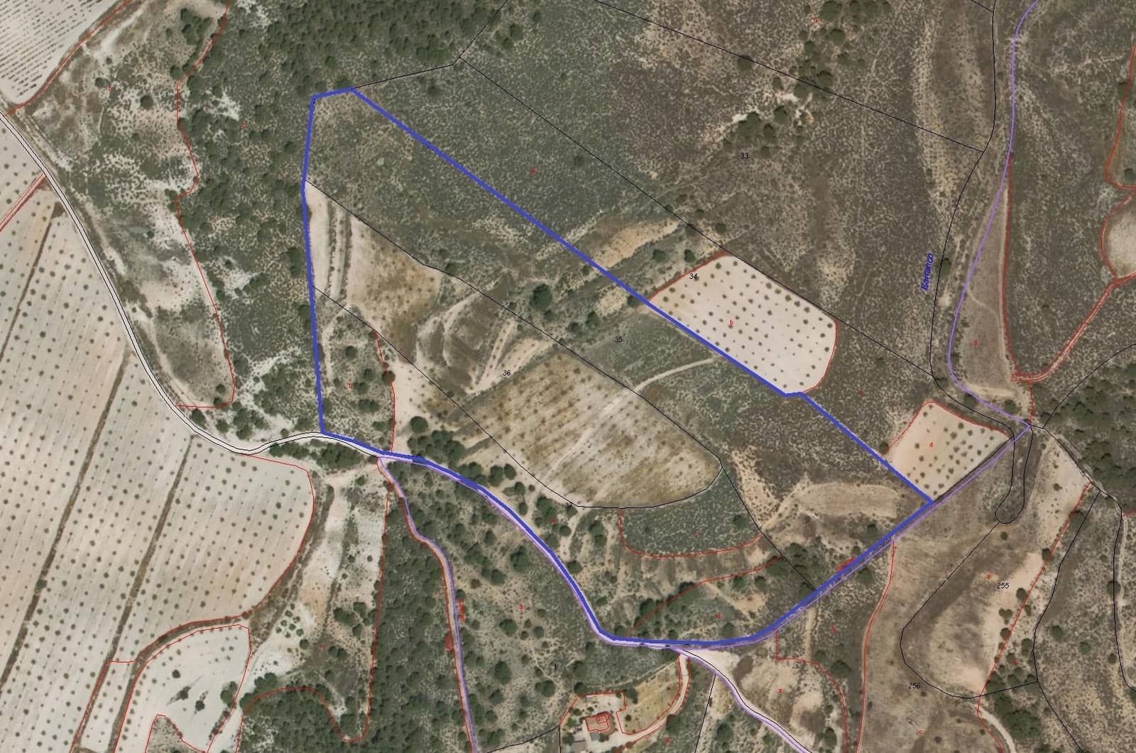 Teren niezagospodarowany na sprzedaż w Abanilla - 66 100 € (Ref: 3655849)