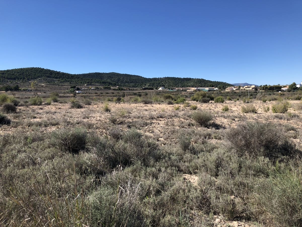 Terre non Aménagée à vendre à Chinorlet / Xinorlet - 53 000 € (Ref: 3658337)