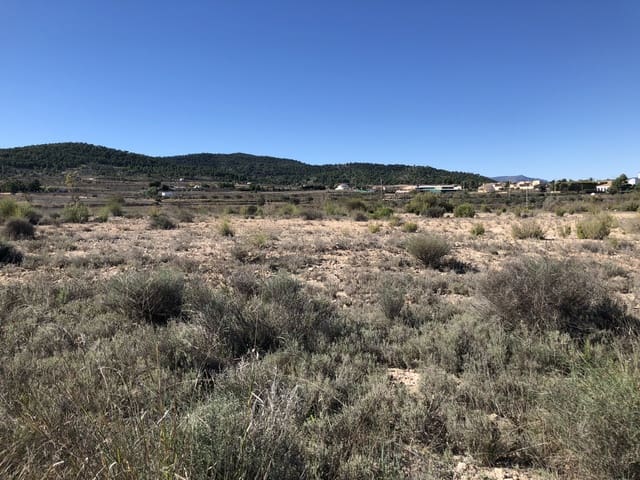 Undeveloped Land for sale in Chinorlet / Xinorlet, Monóvar / Monóver - € 53,000 (Ref: 3658337)