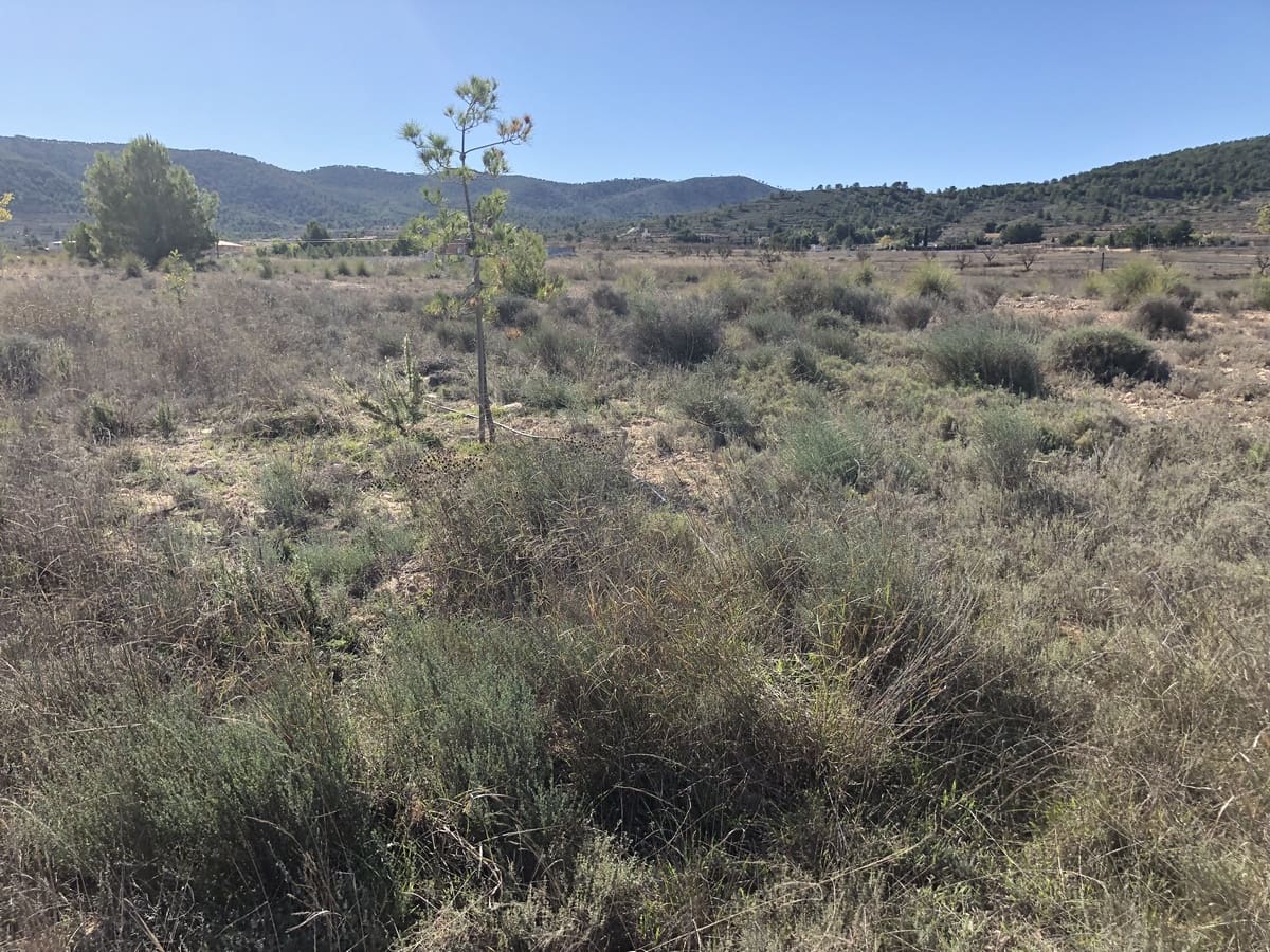 Terre non Aménagée à vendre à Chinorlet / Xinorlet - 53 000 € (Ref: 3658337)