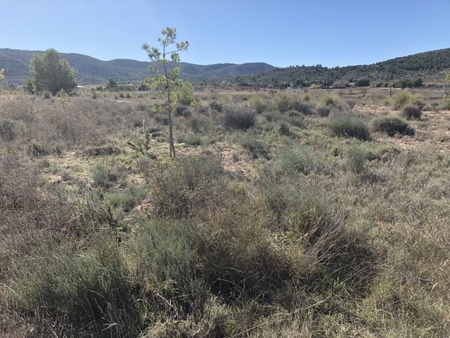 Undeveloped Land for sale in Chinorlet / Xinorlet, Monóvar / Monóver - € 53,000 (Ref: 3658337)