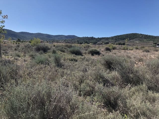 Undeveloped Land for sale in Chinorlet / Xinorlet, Monóvar / Monóver - € 53,000 (Ref: 3658337)