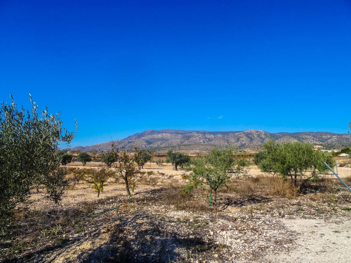 1 soveværelse Finca/Landehus til salg i Torre del Rico med swimmingpool - € 59.000 (Ref: 3662173)