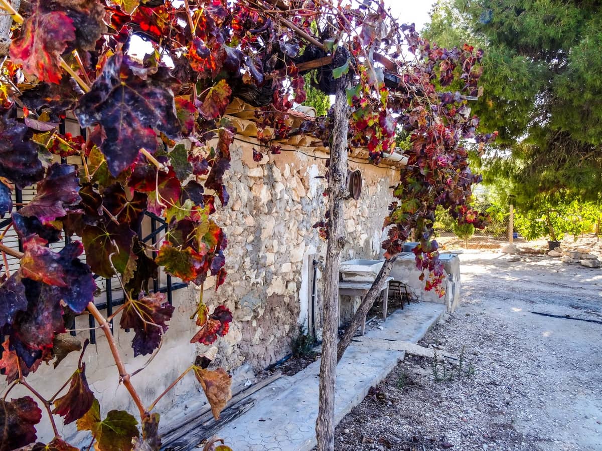 1 soveværelse Finca/Landehus til salg i Torre del Rico med swimmingpool - € 59.000 (Ref: 3662173)