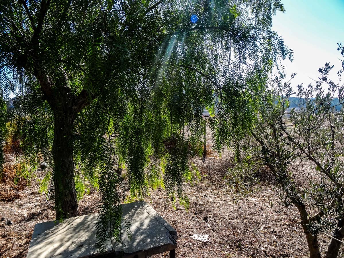 1 soveværelse Finca/Landehus til salg i Torre del Rico med swimmingpool - € 59.000 (Ref: 3662173)