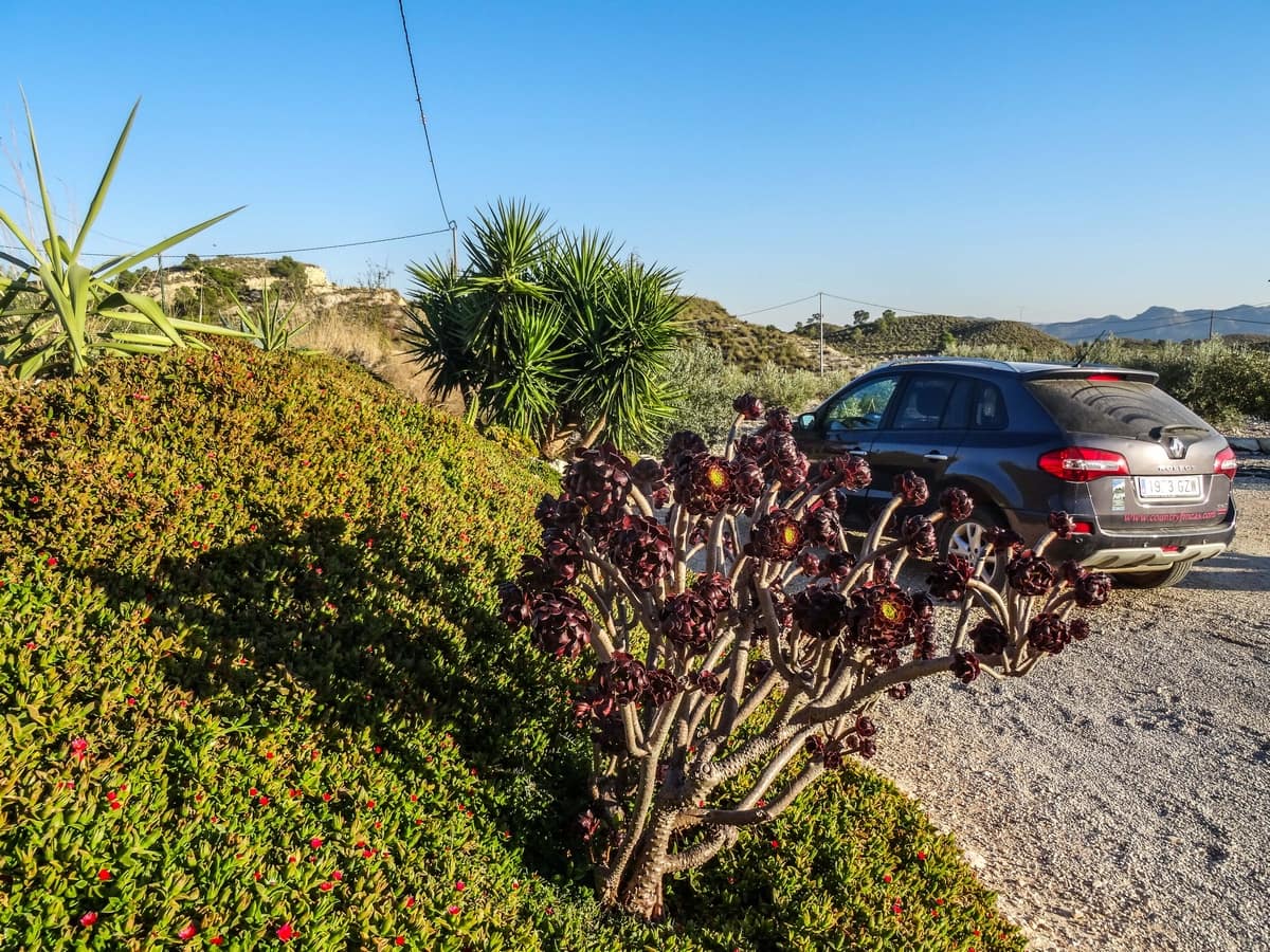 6 chambre Finca/Maison de Campagne à vendre à Barinas - 349 950 € (Ref: 3662174)