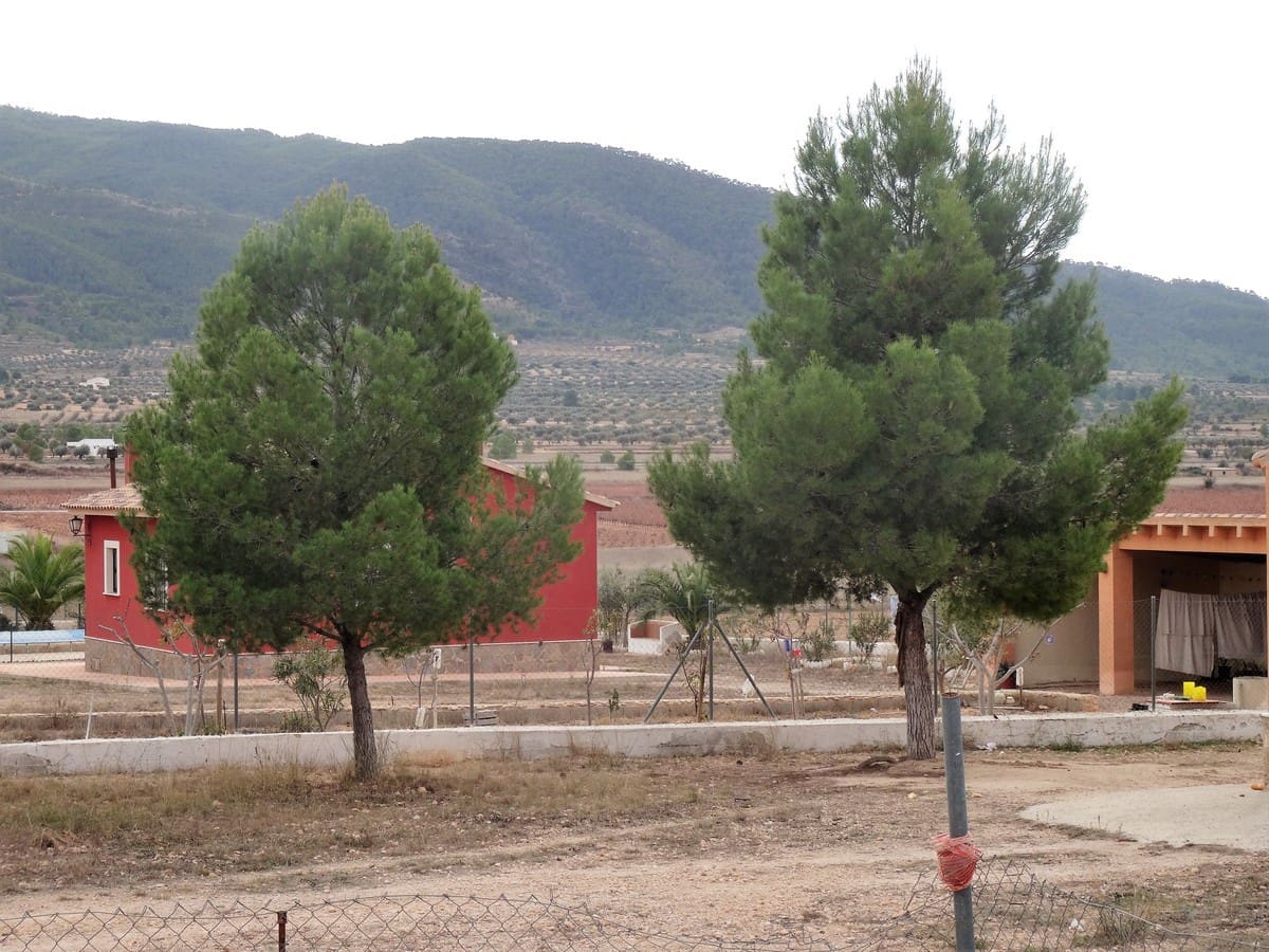 3 soveværelse Villa til salg i Yecla med swimmingpool - € 220.000 (Ref: 3668024)