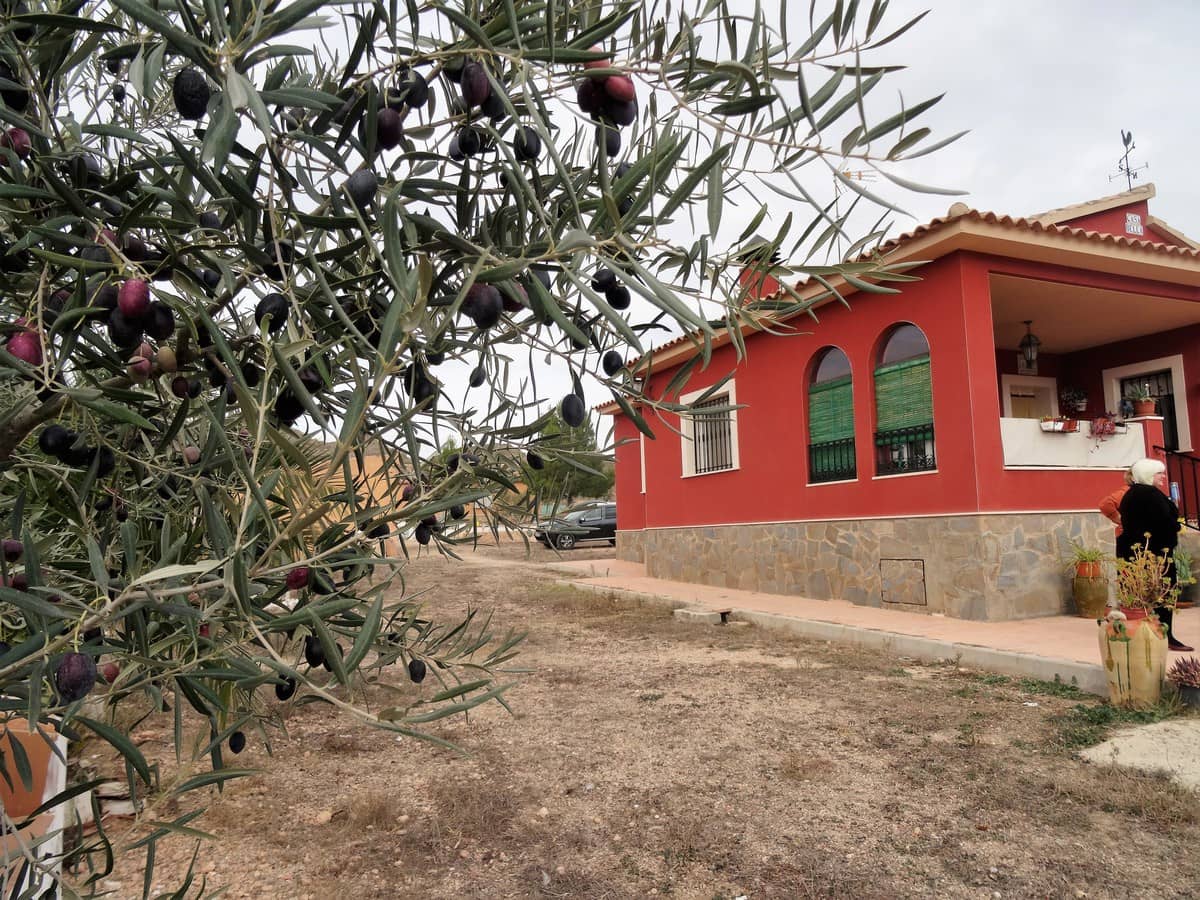 3 soveværelse Villa til salg i Yecla med swimmingpool - € 220.000 (Ref: 3668024)