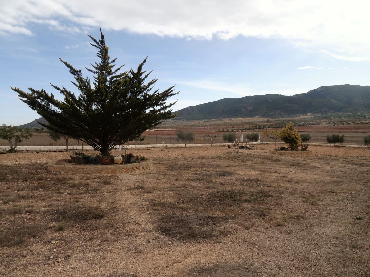 3 soveværelse Villa til salg i Yecla med swimmingpool - € 220.000 (Ref: 3668024)