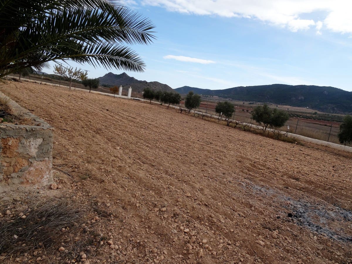 3 soveværelse Villa til salg i Yecla med swimmingpool - € 220.000 (Ref: 3668024)