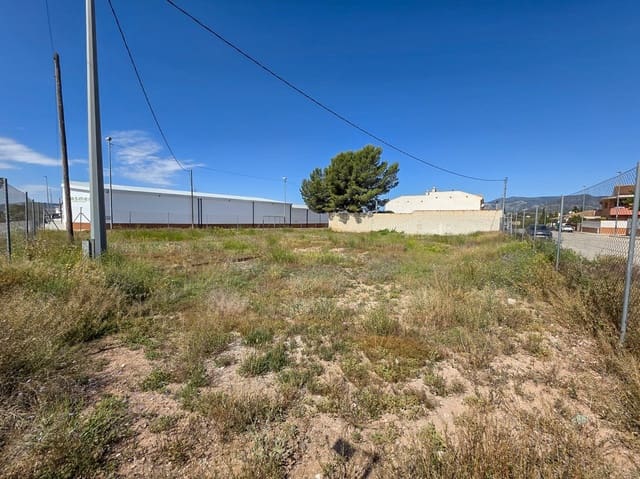 Undeveloped Land for sale in Pinoso - € 250,000 (Ref: 3969787)