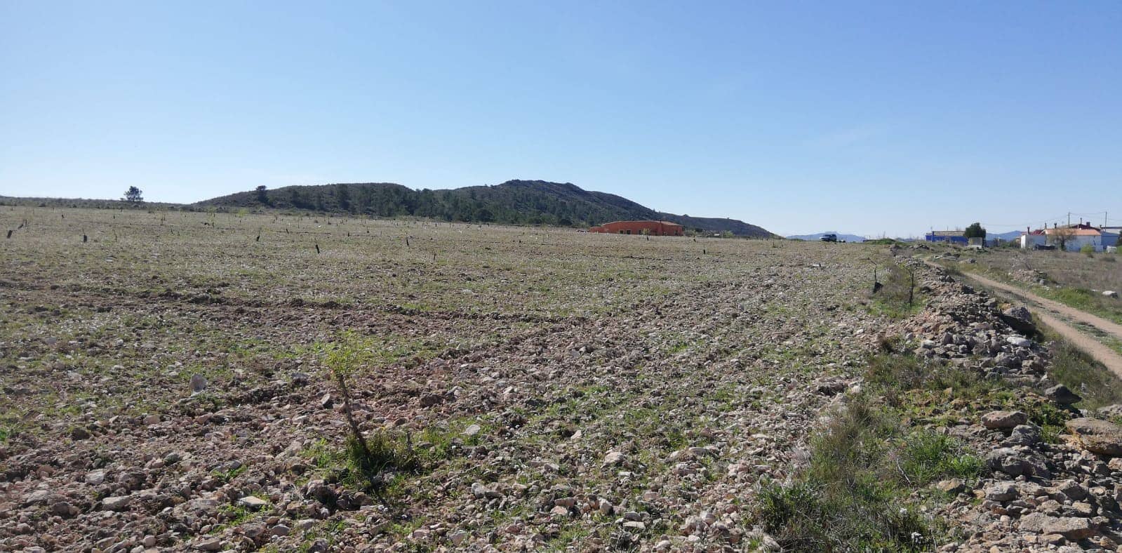 Grunde uden byggetilladelser til salg i Yecla - € 33.000 (Ref: 3976269)