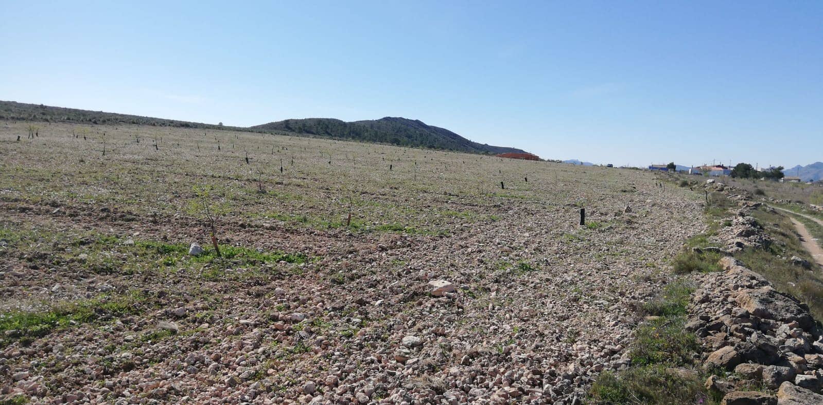 Grunde uden byggetilladelser til salg i Yecla - € 33.000 (Ref: 3976269)