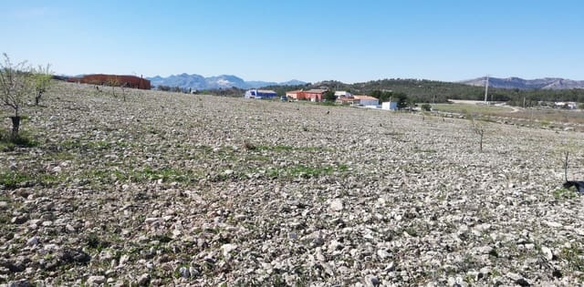 Grunde uden byggetilladelser til salg i Yecla - € 33.000 (Ref: 3976269)