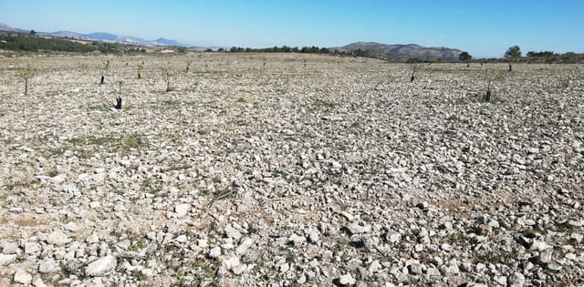 Terreno/Finca Rústica en Yecla en venta - 33.000 € (Ref: 3976269)