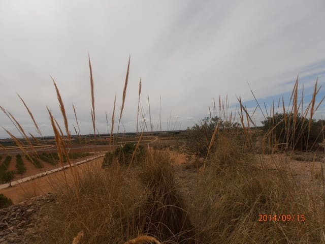 Undeveloped Land for sale in Madrigueras - € 150,000 (Ref: 4165692)