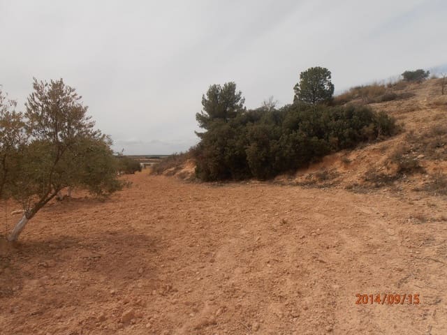 Undeveloped Land for sale in Madrigueras - € 150,000 (Ref: 4165692)