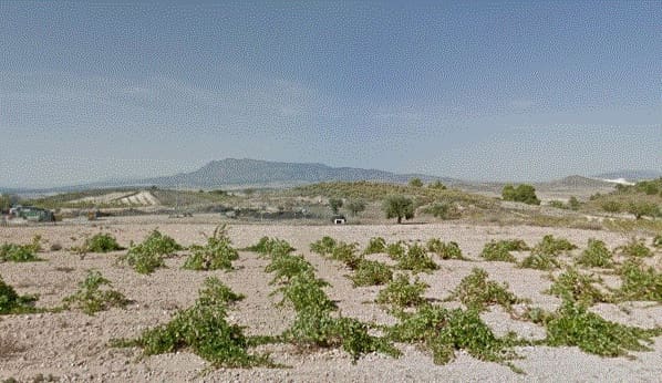 Grond te koop in Jumilla - € 22.000 (Ref: 4283242)