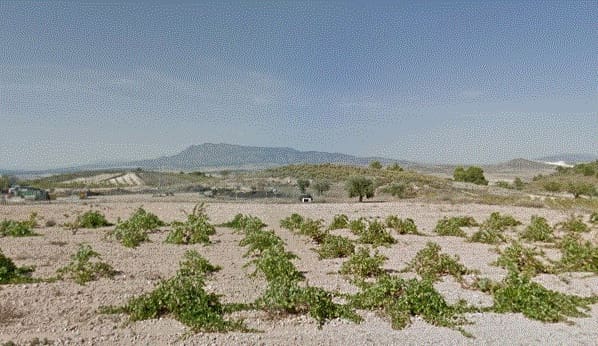Terreno Não Urbanizado para venda em Jumilla - 22 000 € (Ref: 4283242)