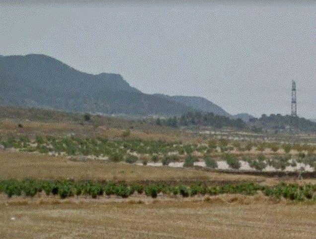 Undeveloped Land for sale in Jumilla - € 19,000 (Ref: 4283243)