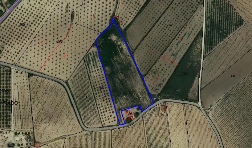 Undeveloped Land for sale in Pinoso - € 34,000 (Ref: 4356694)