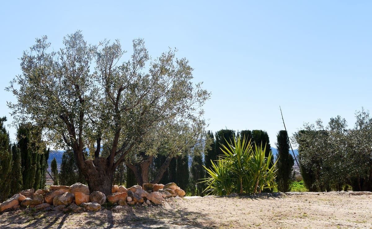 4 soveværelse Finca/Landehus til salg i La Alberquilla med swimmingpool - € 197.000 (Ref: 4443300)