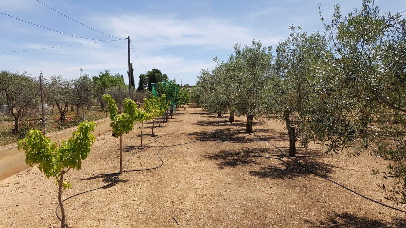 8 sovrum Finca/Hus på landet till salu i Yecla med pool - 800 000 € (Ref: 4878019)