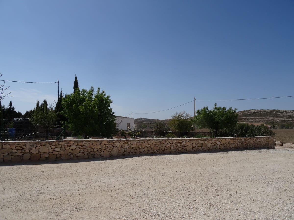 5 chambre Finca/Maison de Campagne à vendre à Torre del Rico avec piscine - 169 950 € (Ref: 4878024)