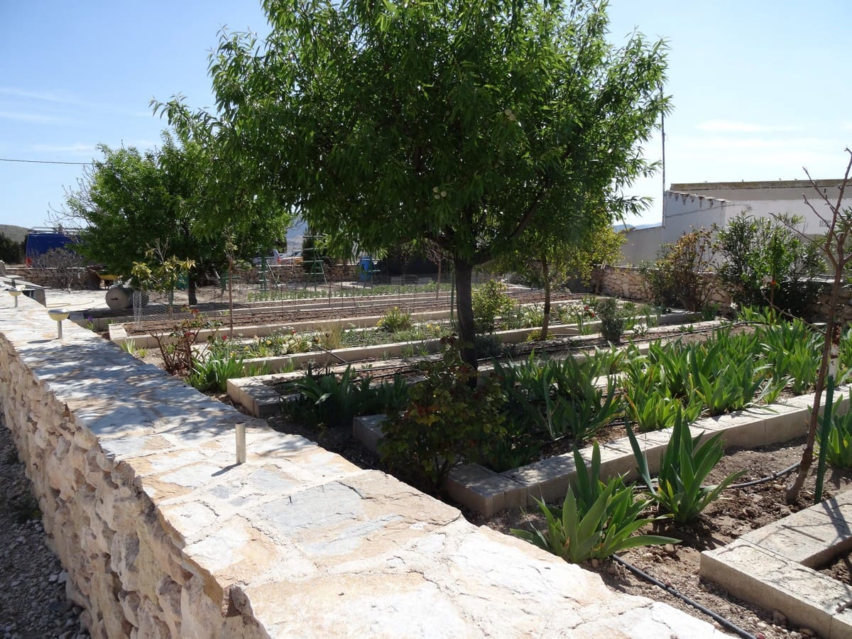 5 chambre Finca/Maison de Campagne à vendre à Torre del Rico avec piscine - 169 950 € (Ref: 4878024)