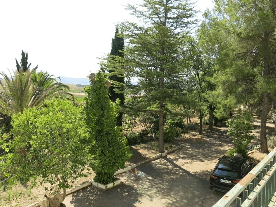 6 bedroom Finca/Country House for sale in Pinoso with pool - € 500,000 (Ref: 4878057)