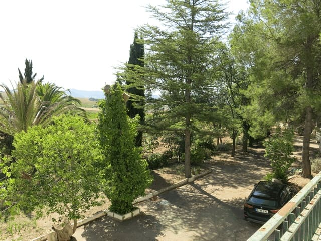 6 bedroom Finca/Country House for sale in Pinoso with pool - € 500,000 (Ref: 4878057)