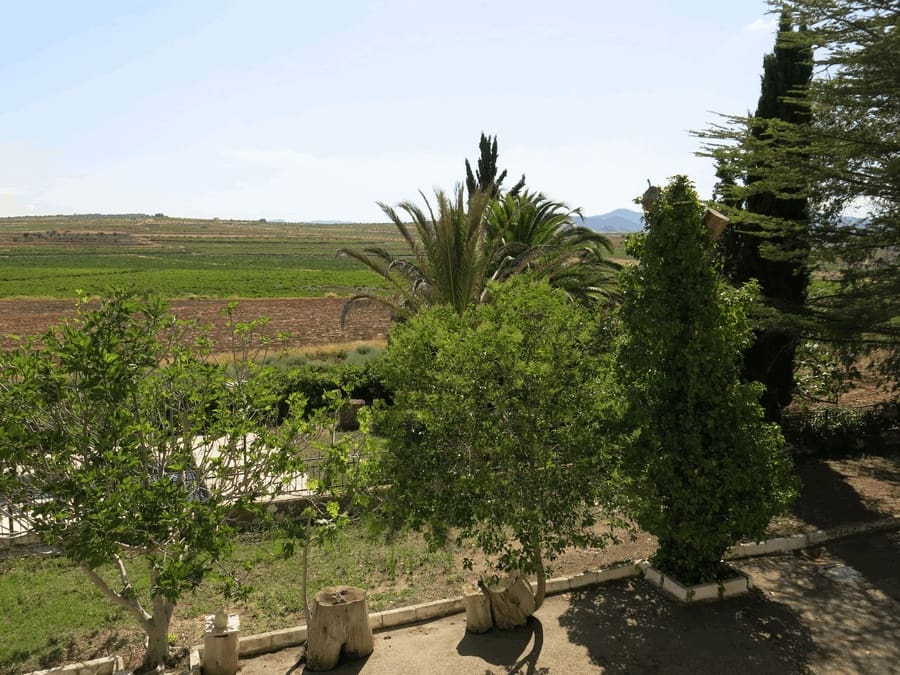 6 bedroom Finca/Country House for sale in Pinoso with pool - € 500,000 (Ref: 4878057)